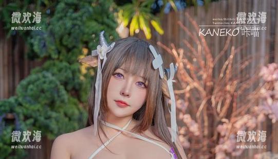 異铁超级搜查官KANEKO_咔喵的逗趣COS图包，让人想大喊“哎呀！”-微欢海