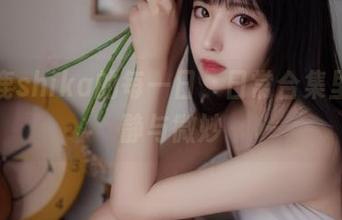 小鹿鹿shika的每一日，日常合集里的宁静与微妙